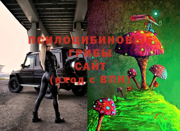 героин Алексин